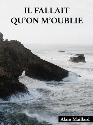 cover image of Il fallait qu'on m'oublie